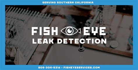 water leak detector santa barbara, ca|Fisheye Leak Detection